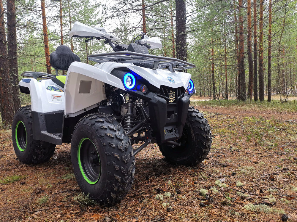 Квадроцикл PROMAX RENEGADE 280 (2025) в Новом Уренгое
