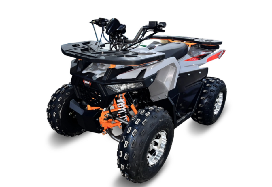 Квадроцикл GBM DAXTER 220 NEW PREMIUM в Новом Уренгое