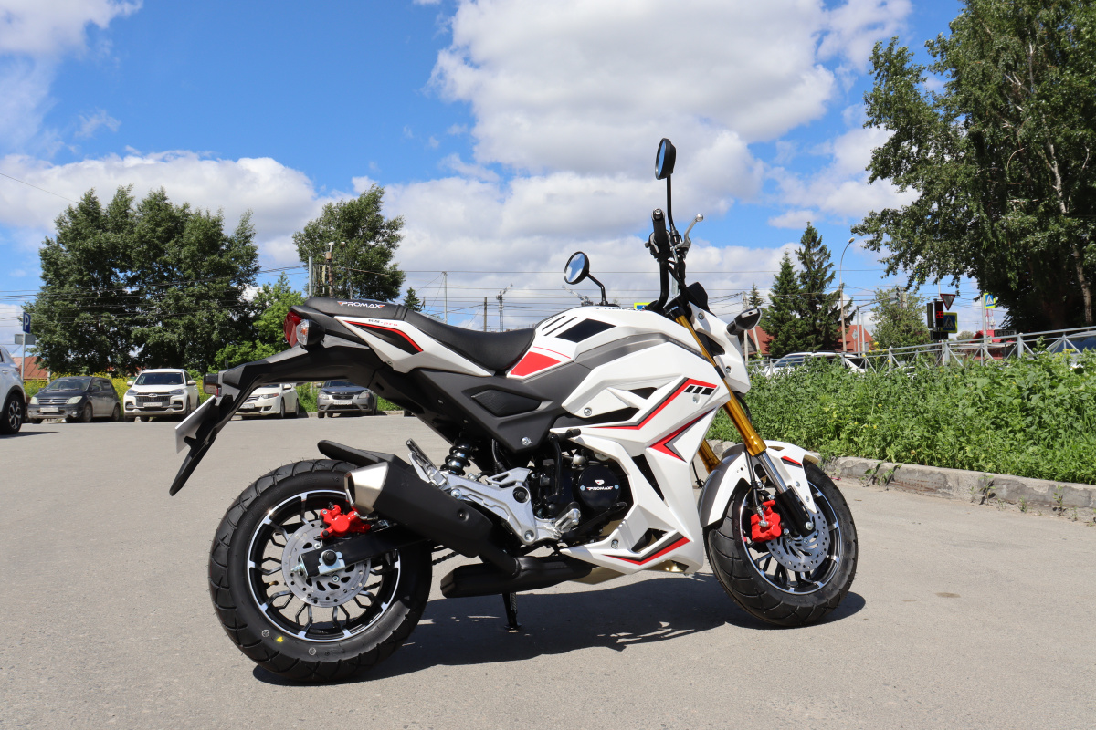 Мотоцикл PROMAX STRYKER 200(49) 2.0 в Новом Уренгое