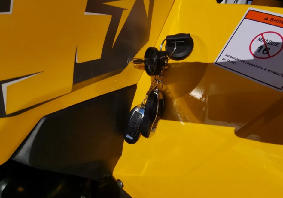 Квадроцикл MOTOLAND (МОТОЛЕНД) VOX200 WILD TRACK X PRO (баланс. вал) в Новом Уренгое