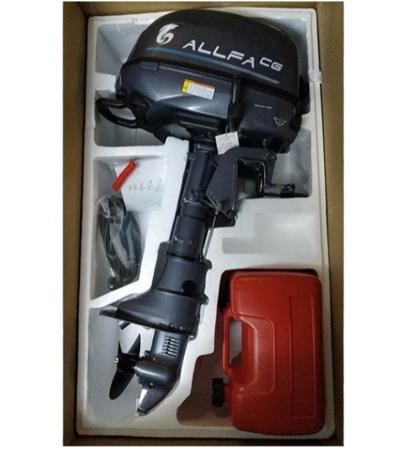 Лодочный мотор ALLFA CG F6 в Новом Уренгое