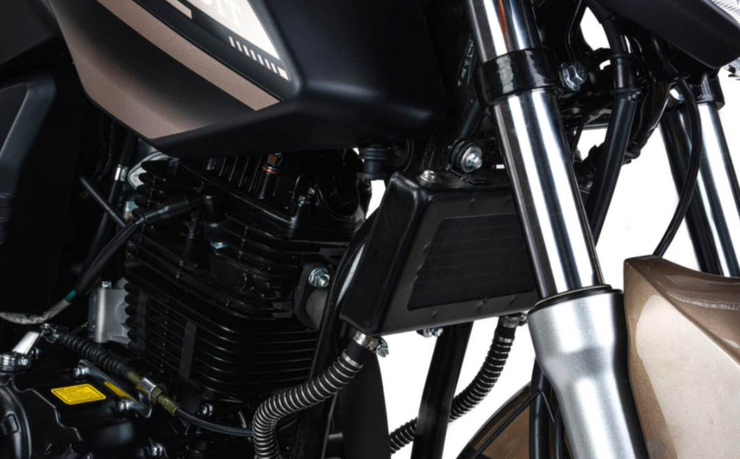 Мотоцикл MOTOLAND (МОТОЛЕНД) 300 BANDIT в Новом Уренгое