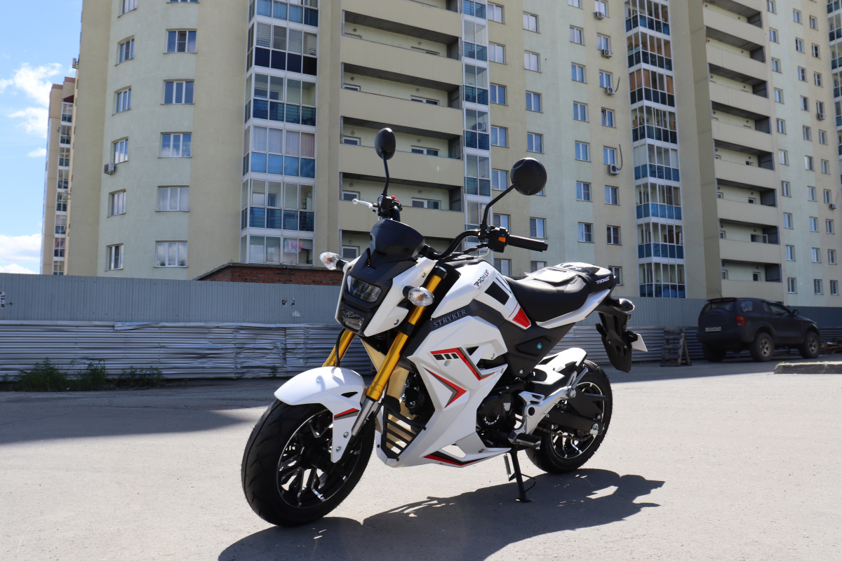 Мотоцикл PROMAX STRYKER 200(49) 2.0 в Новом Уренгое