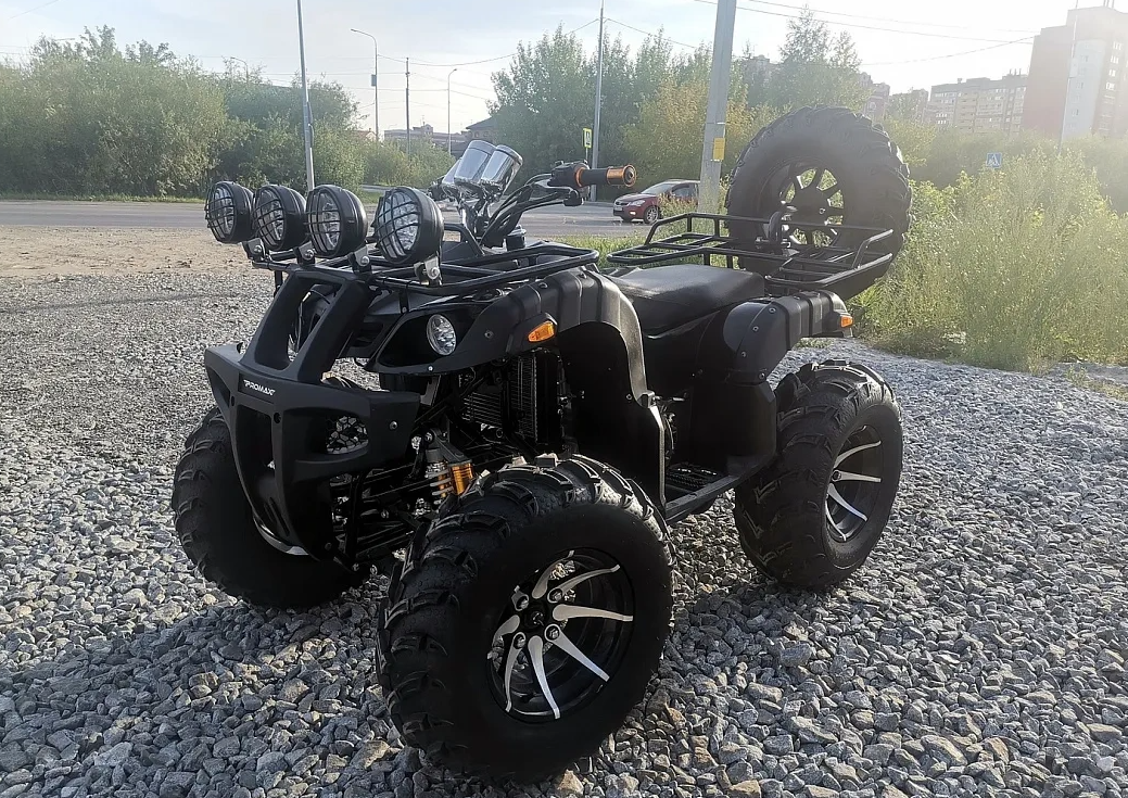 Квадроцикл PROMAX LEO 300 Max (кардан) в Новом Уренгое