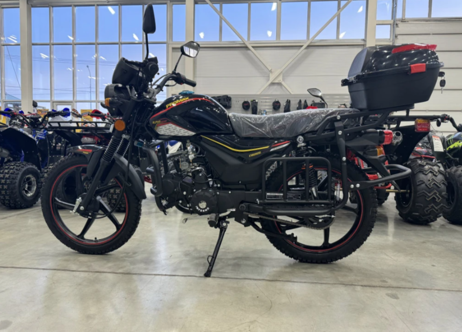 Мопед PROMAX ALPHA TOURIST 150(49) LUX в Новом Уренгое