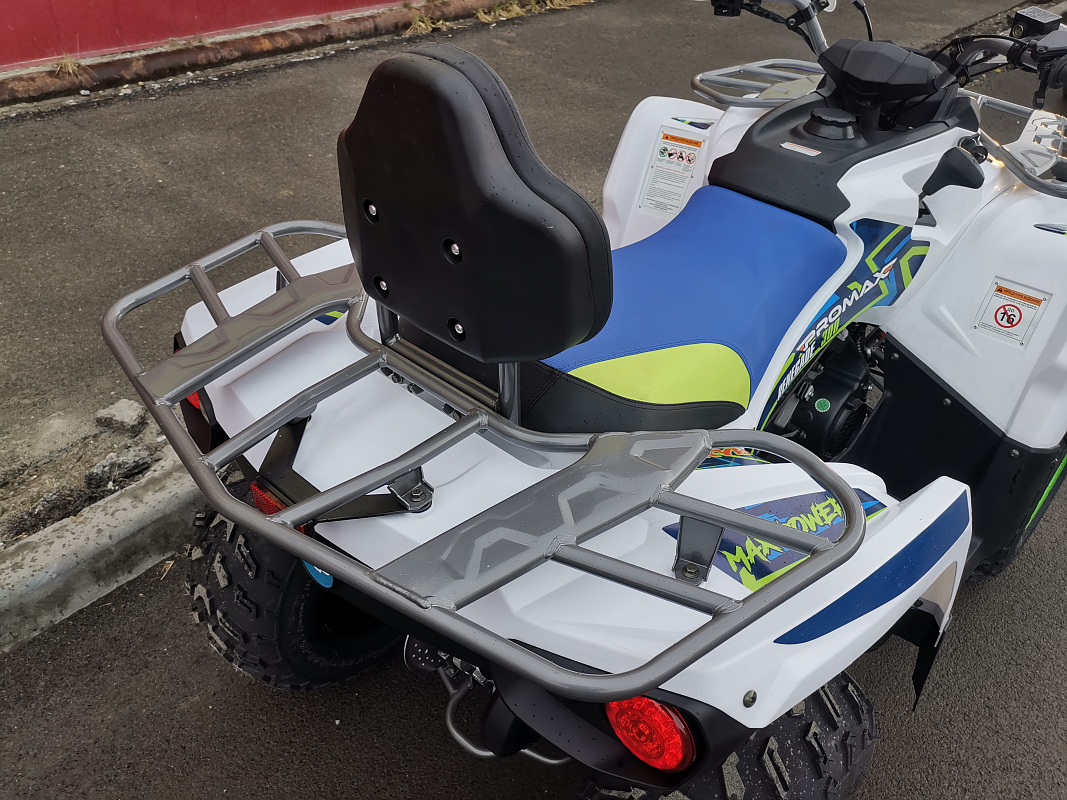 Квадроцикл PROMAX RENEGADE 280 LUX (2025) в Новом Уренгое