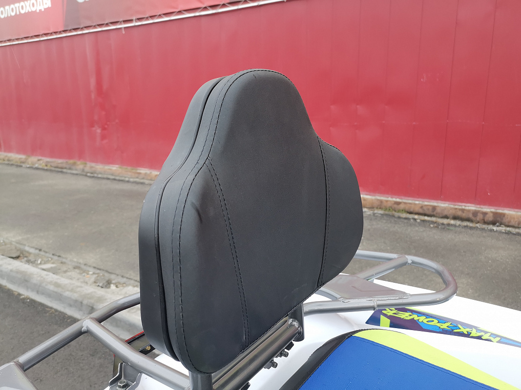 Квадроцикл PROMAX RENEGADE 280 LUX (2025) в Новом Уренгое