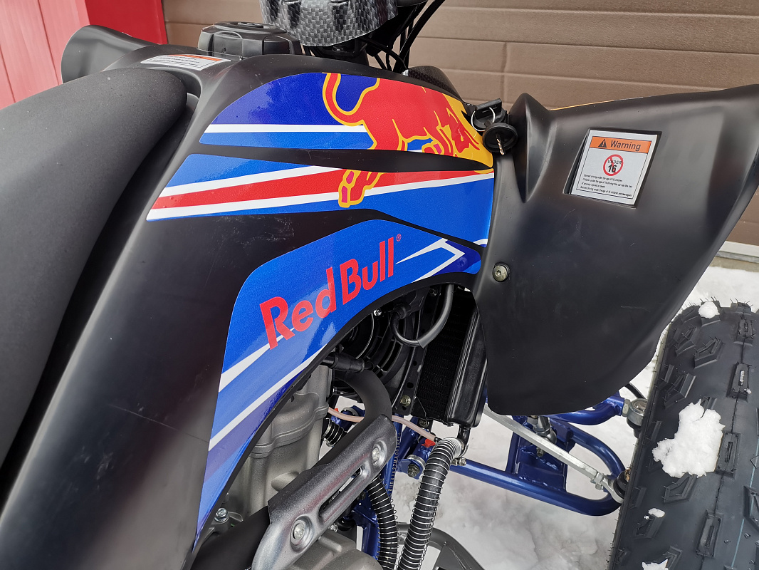 Квадроцикл PROMAX RAPTOR 300 NEW RedBull в Новом Уренгое
