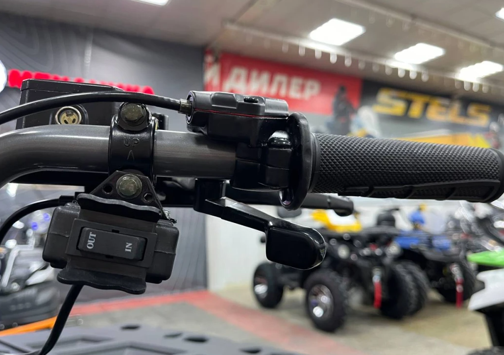 Квадроцикл PROMAX RENEGADE 300 LONG WINCH PRO (2025) в Новом Уренгое