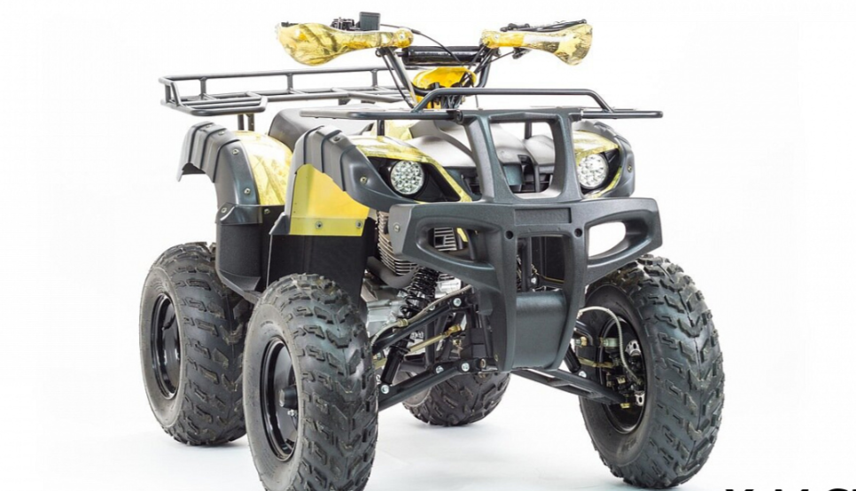 Квадроцикл MOTOLAND (МОТОЛЕНД) 250 ADVENTURE в Новом Уренгое