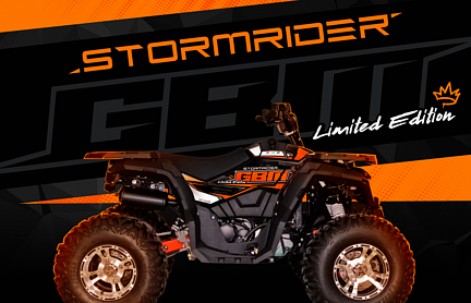 Квадроцикл GBM STORMRIDER 320 NEW LUX в Новом Уренгое