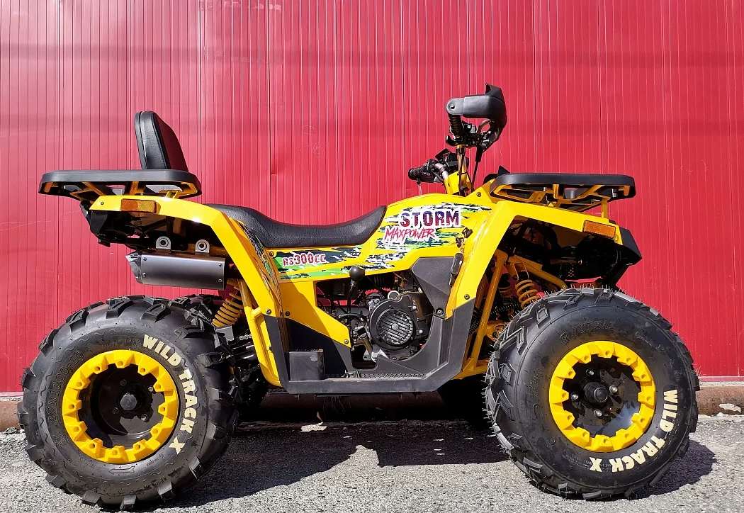 Квадроцикл PROMAX STORM 280 LUX в Новом Уренгое