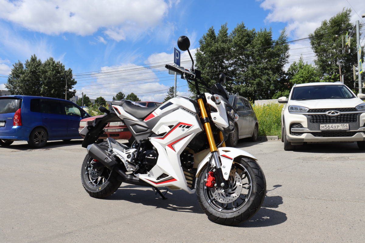 Мотоцикл PROMAX STRYKER 200(49) 2.0 в Новом Уренгое