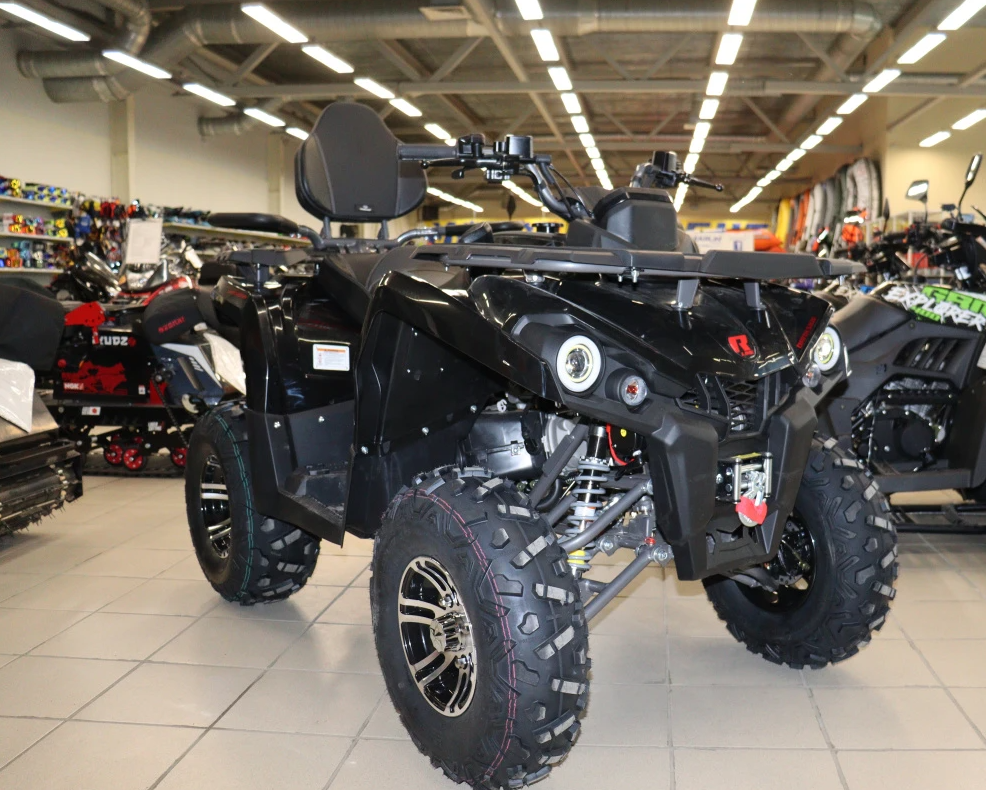 Квадроцикл PROMAX RENEGADE 300 LONG WINCH PRO (2025) в Новом Уренгое