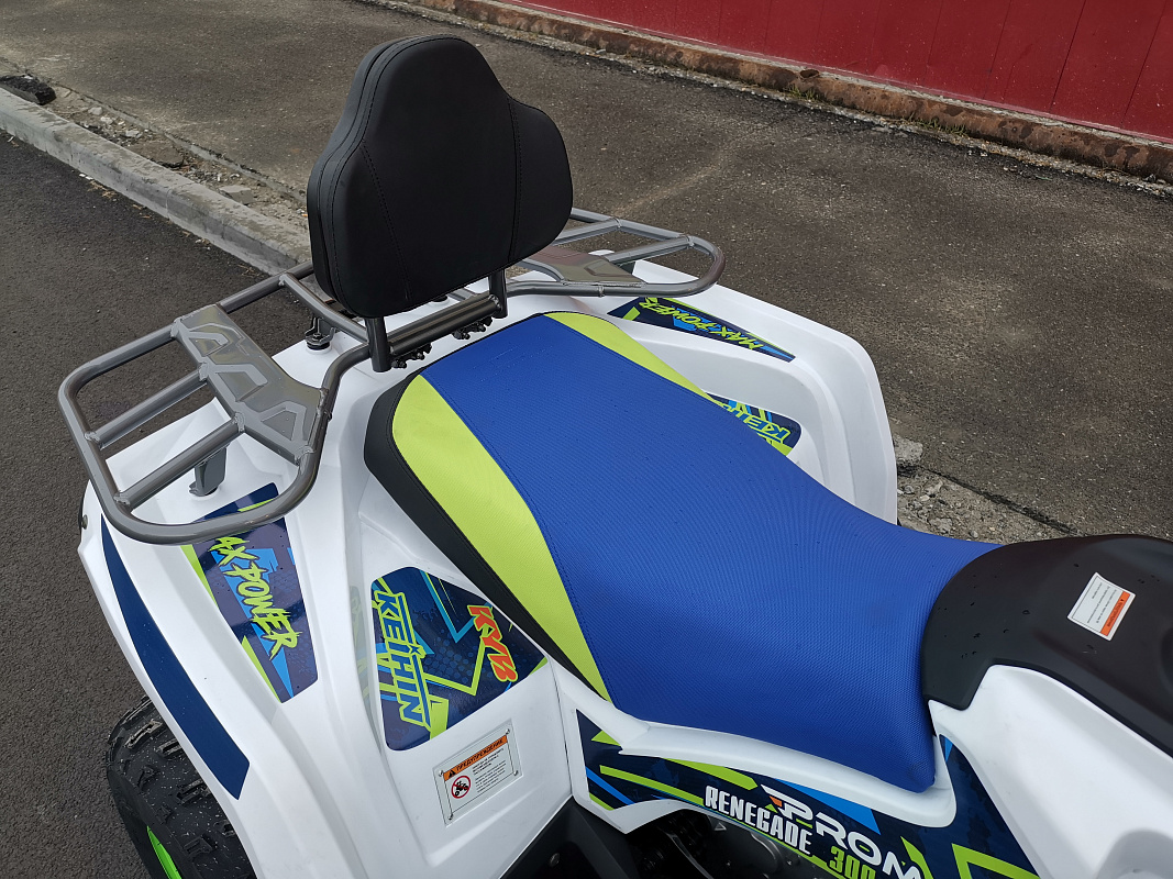 Квадроцикл PROMAX RENEGADE 280 LUX (2025) в Новом Уренгое