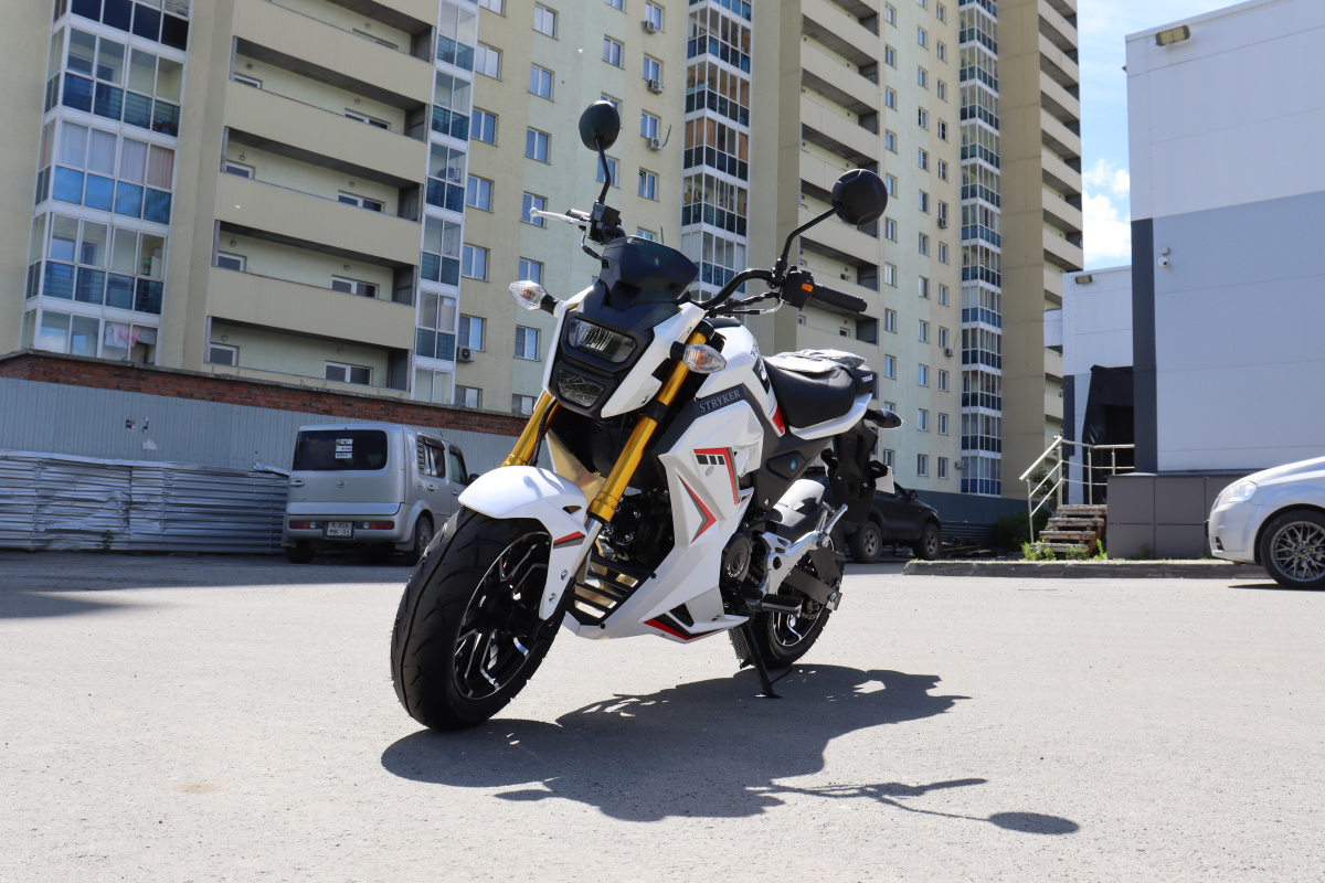 Мотоцикл PROMAX STRYKER 200(49) 2.0 в Новом Уренгое