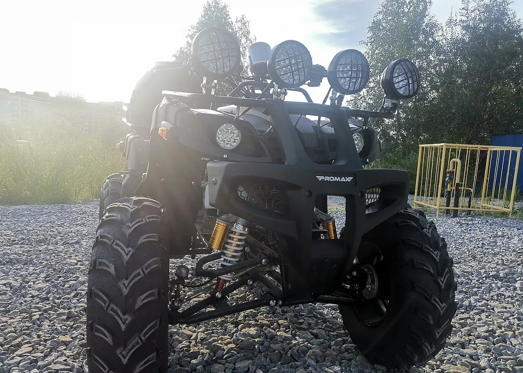 Квадроцикл PROMAX LEO 300 Max (кардан) в Новом Уренгое