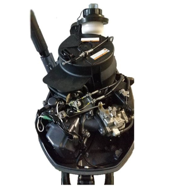 Лодочный мотор ALLFA CG F6 в Новом Уренгое