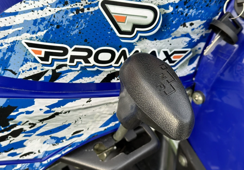  Квадроцикл PROMAX ATV 250 MAX (2025) в Новом Уренгое