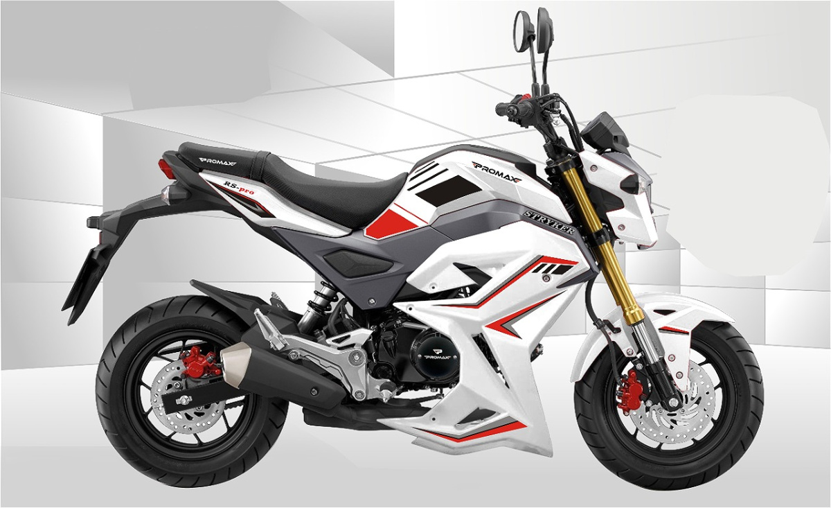 Мотоцикл PROMAX STRYKER 200(49) 2.0 в Новом Уренгое