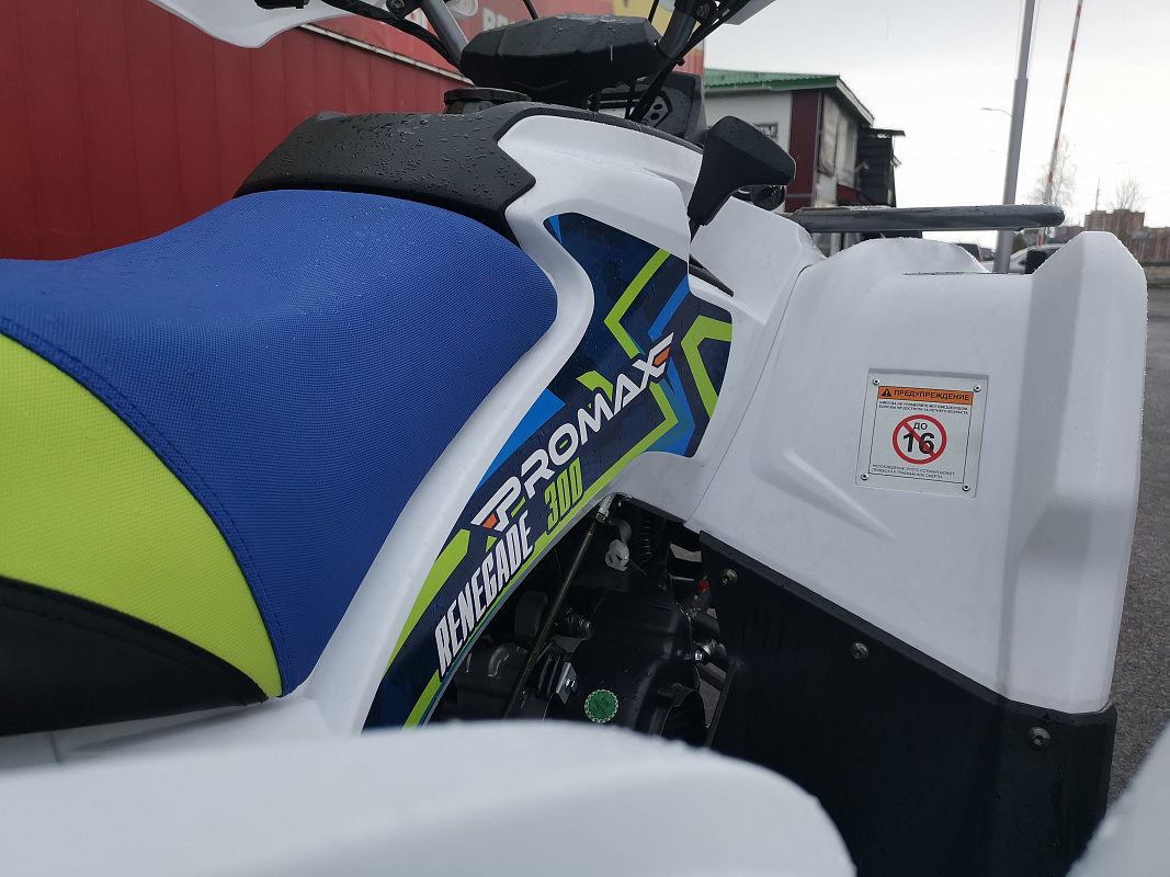 Квадроцикл PROMAX RENEGADE 280 LUX (2025) в Новом Уренгое