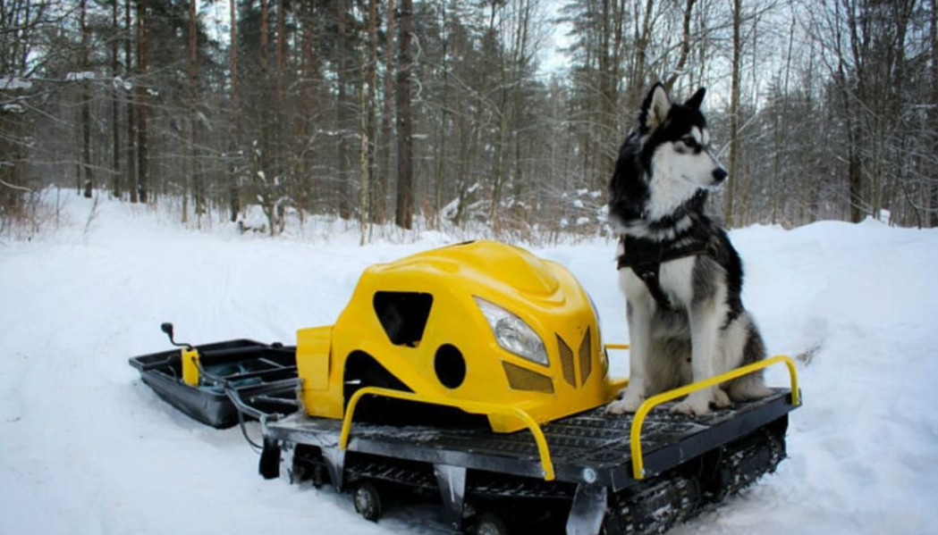 Мотобуксировщик LEBEDEV MOTORS ВОЛКОДАВ POWER V13 в Новом Уренгое