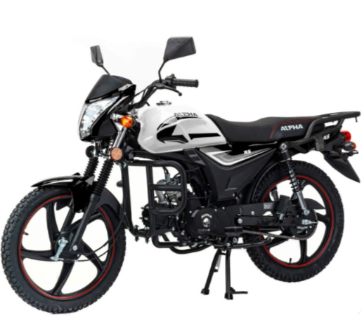 Мопед MOTOLAND (МОТОЛЕНД) Альфа RS 11 (LM48-B) в Новом Уренгое