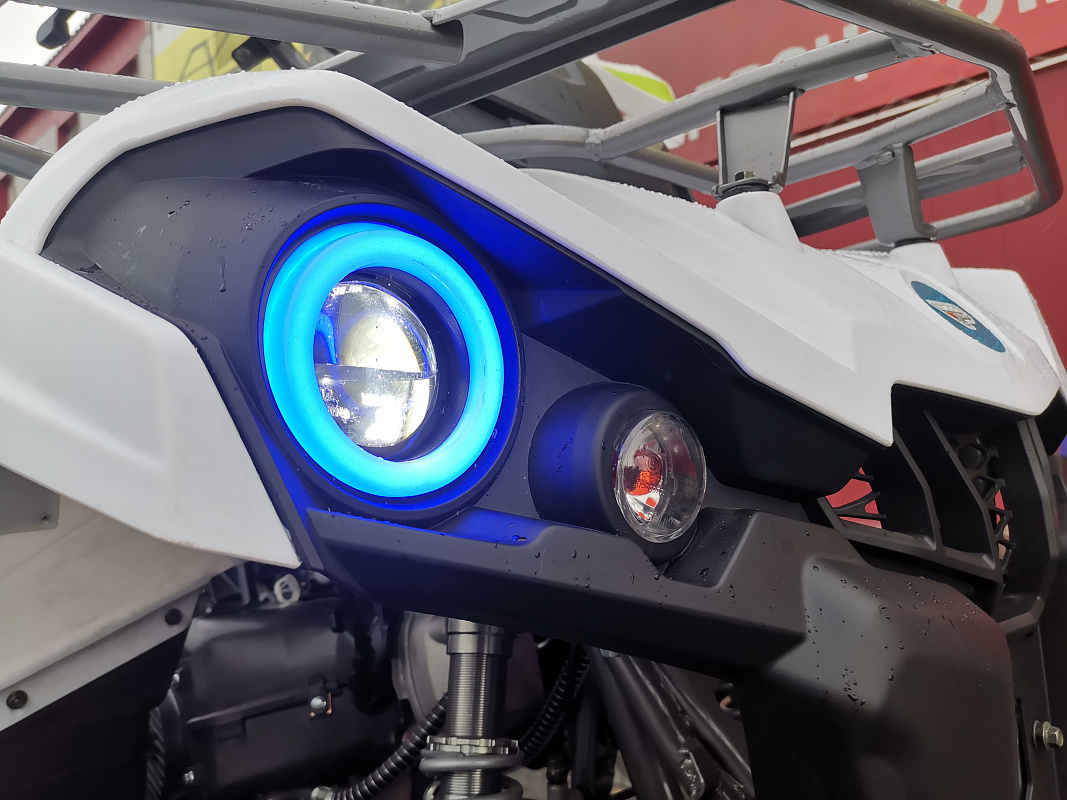 Квадроцикл PROMAX RENEGADE 280 LUX (2025) в Новом Уренгое