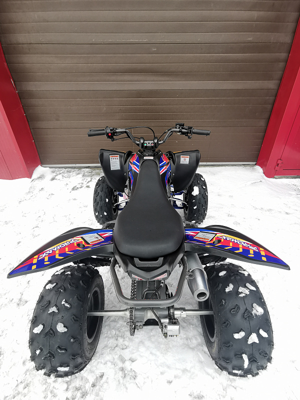 Квадроцикл PROMAX RAPTOR 300 NEW RedBull в Новом Уренгое