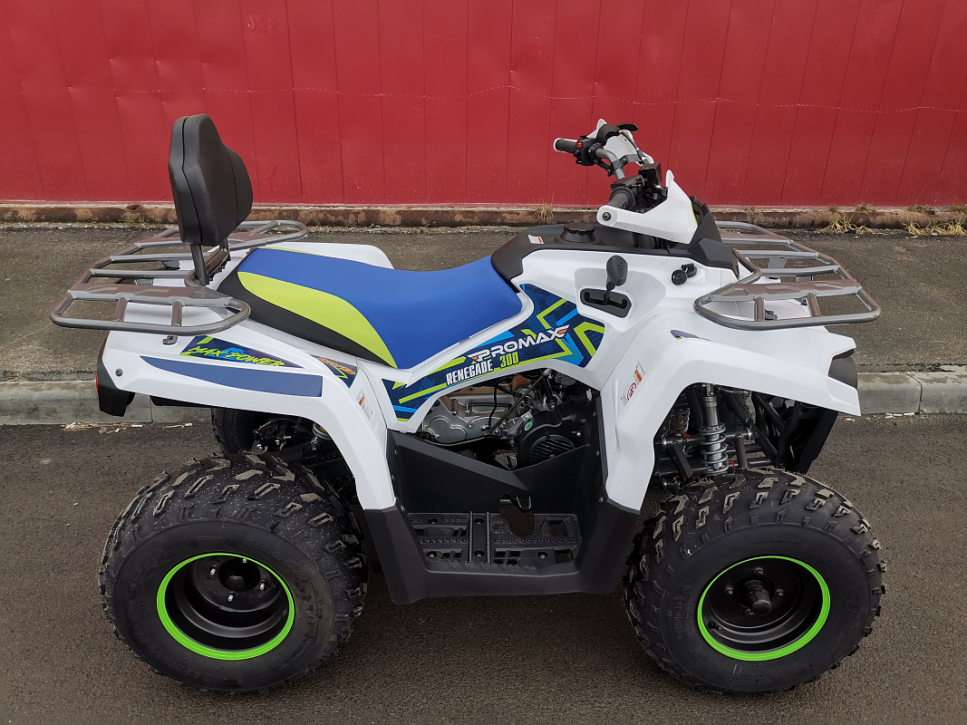 Квадроцикл PROMAX RENEGADE 280 LUX (2025) в Новом Уренгое