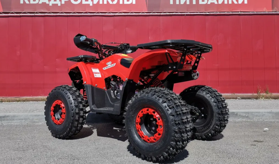 Квадроцикл PROMAX WILD 175 BASIC в Новом Уренгое
