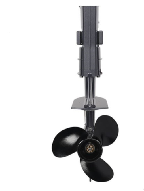 Лодочный мотор ALLFA CG F6 в Новом Уренгое