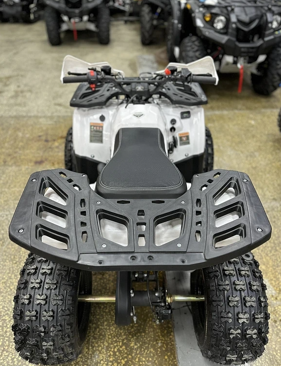 Квадроцикл PROMAX WILD 2.0 190 в Новом Уренгое