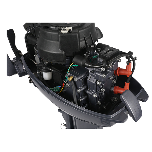 ЛОДОЧНЫЙ МОТОР ALLFA CG Т9,9 в Новом Уренгое