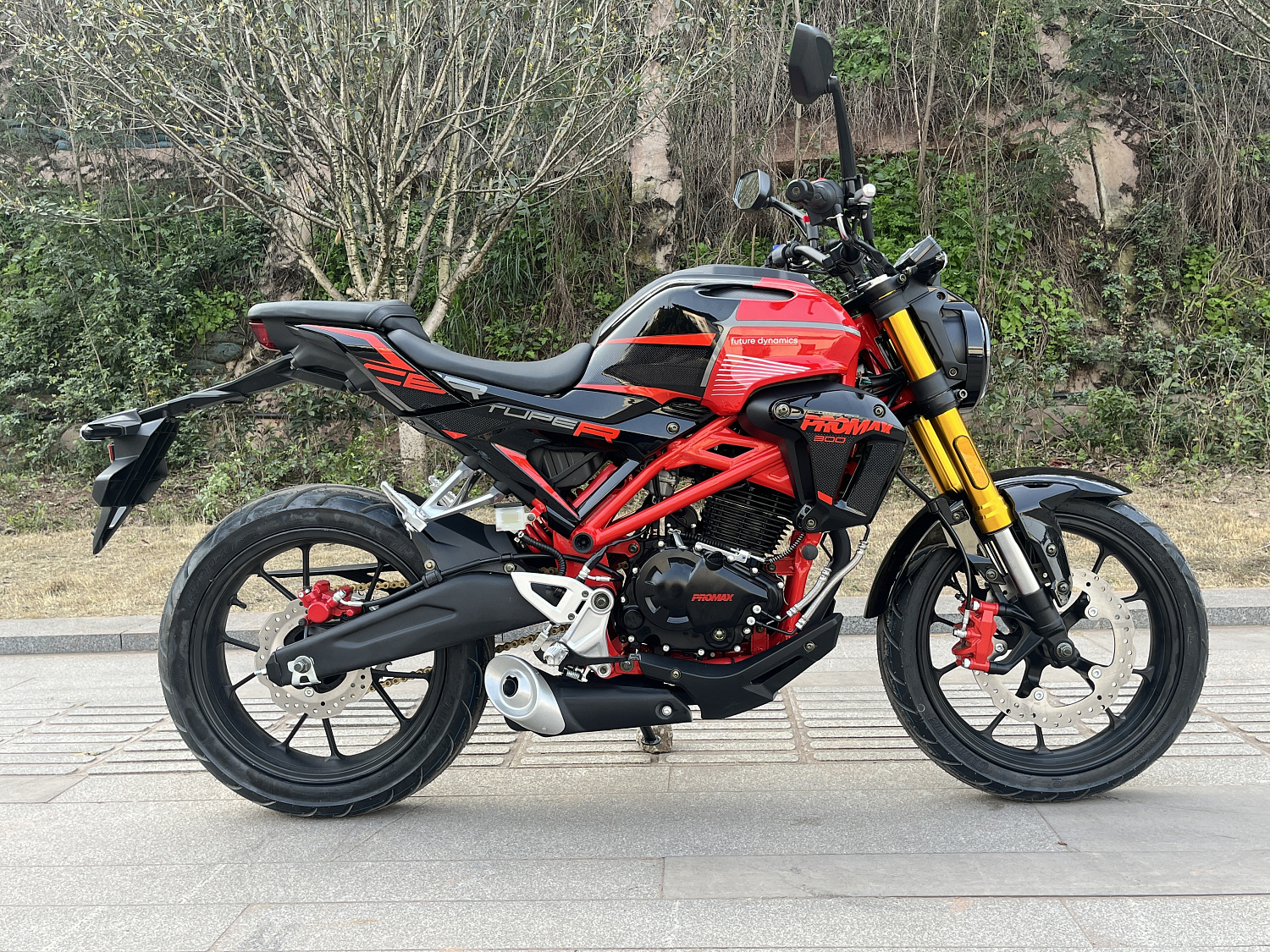 Мотоцикл PROMAX CB300 в Новом Уренгое