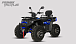 Квадроцикл PROMAX TAURUS 300 MAX-PRO LONG в Новом Уренгое