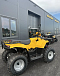 КВАДРОЦИКЛ IRBIS ATV 250  в Новом Уренгое