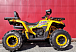 Квадроцикл PROMAX STORM 280 LUX в Новом Уренгое