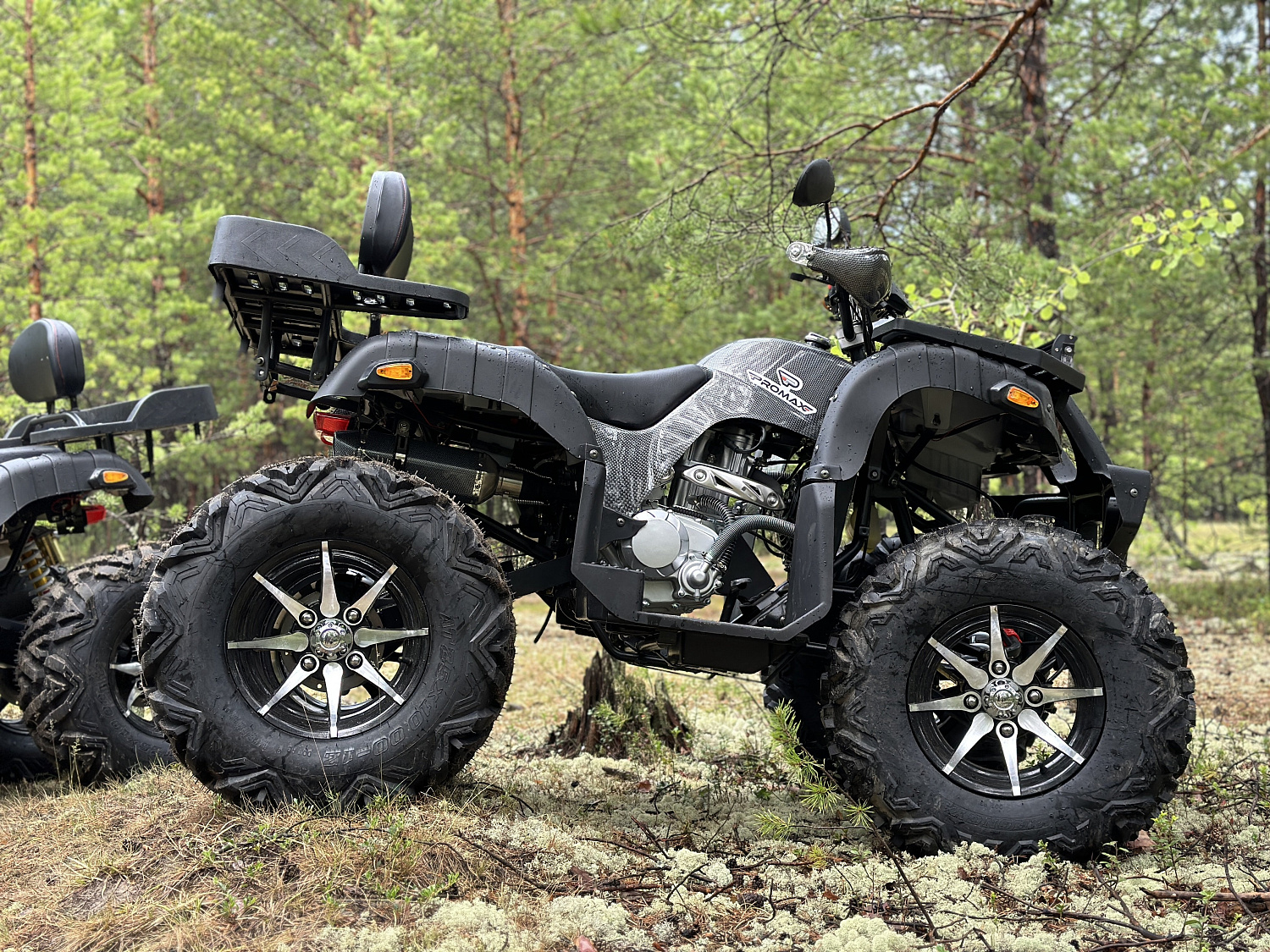 Квадроцикл PROMAX 320 DOMINATOR (2025) в Новом Уренгое