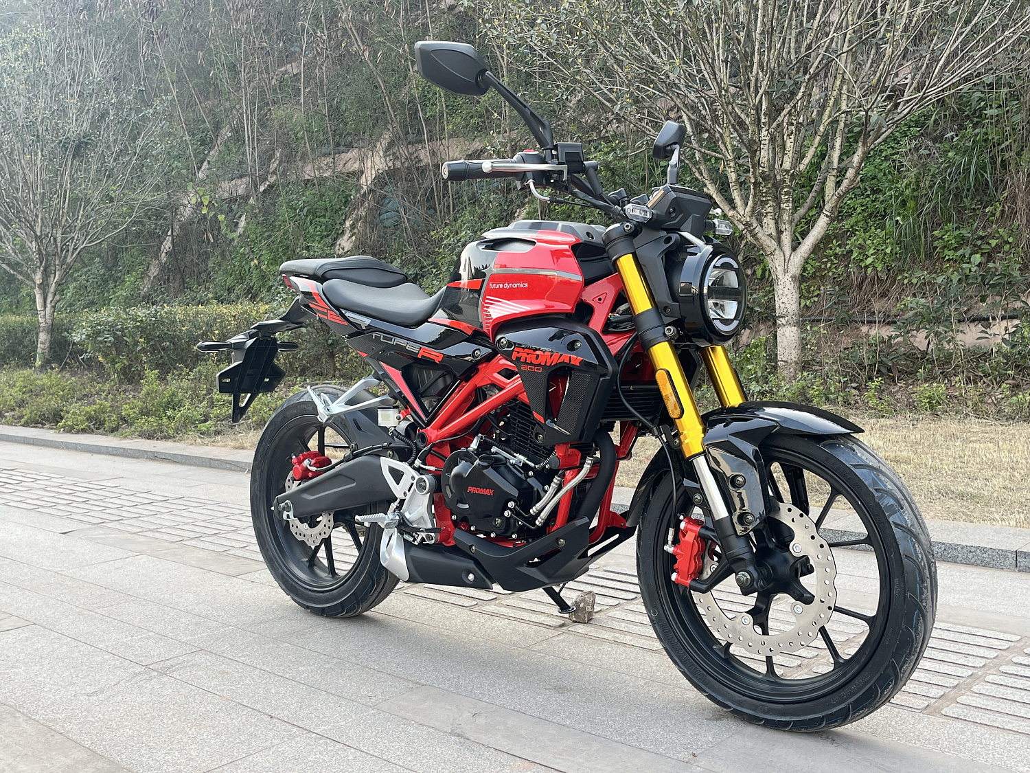 Мотоцикл PROMAX CB300 в Новом Уренгое