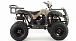 Квадроцикл MOTOLAND (МОТОЛЕНД) 200 ALL ROAD в Новом Уренгое