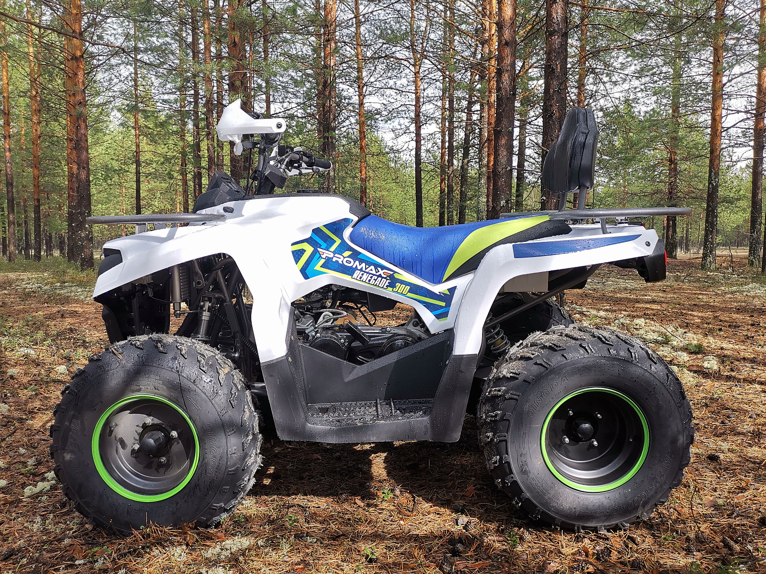 Квадроцикл PROMAX RENEGADE 280 (2025) в Новом Уренгое