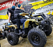 Квадроцикл PROMAX ATV 250 (2025) в Новом Уренгое