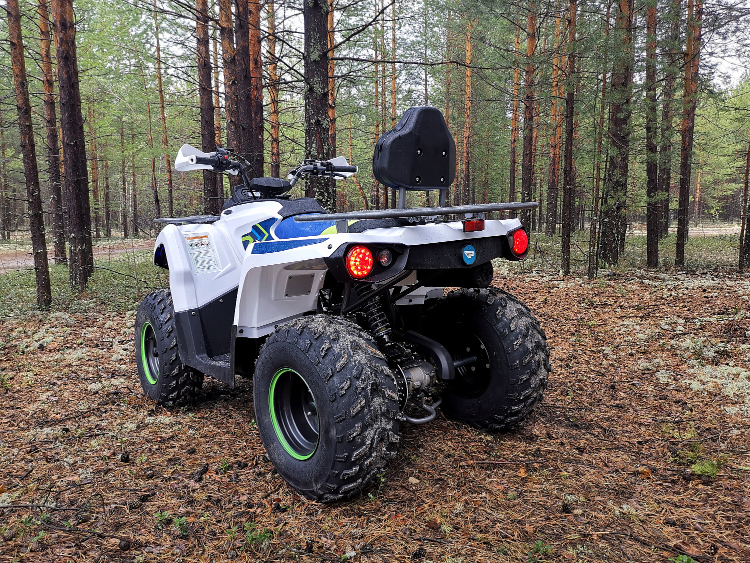 Квадроцикл PROMAX RENEGADE 280 (2025) в Новом Уренгое