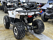 Квадроцикл PROMAX WILD 2.0 190 LUX в Новом Уренгое