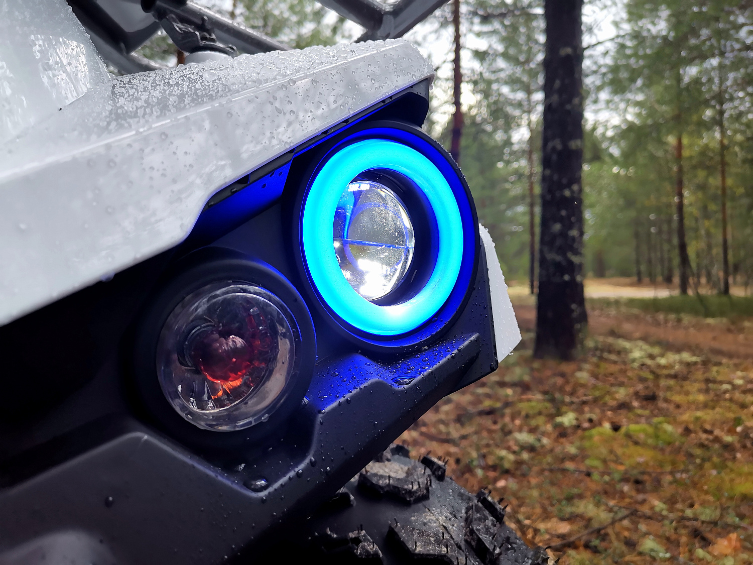 Квадроцикл PROMAX RENEGADE 280 (2025) в Новом Уренгое