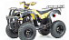 Квадроцикл MOTOLAND (МОТОЛЕНД) 250 ADVENTURE в Новом Уренгое
