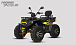 Квадроцикл PROMAX TAURUS 300 MAX-PRO LONG в Новом Уренгое